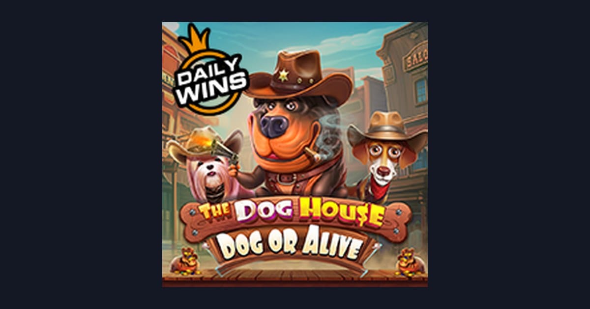 Raih Bonus New Member dan Serunya The Dog House Dog Or Alive